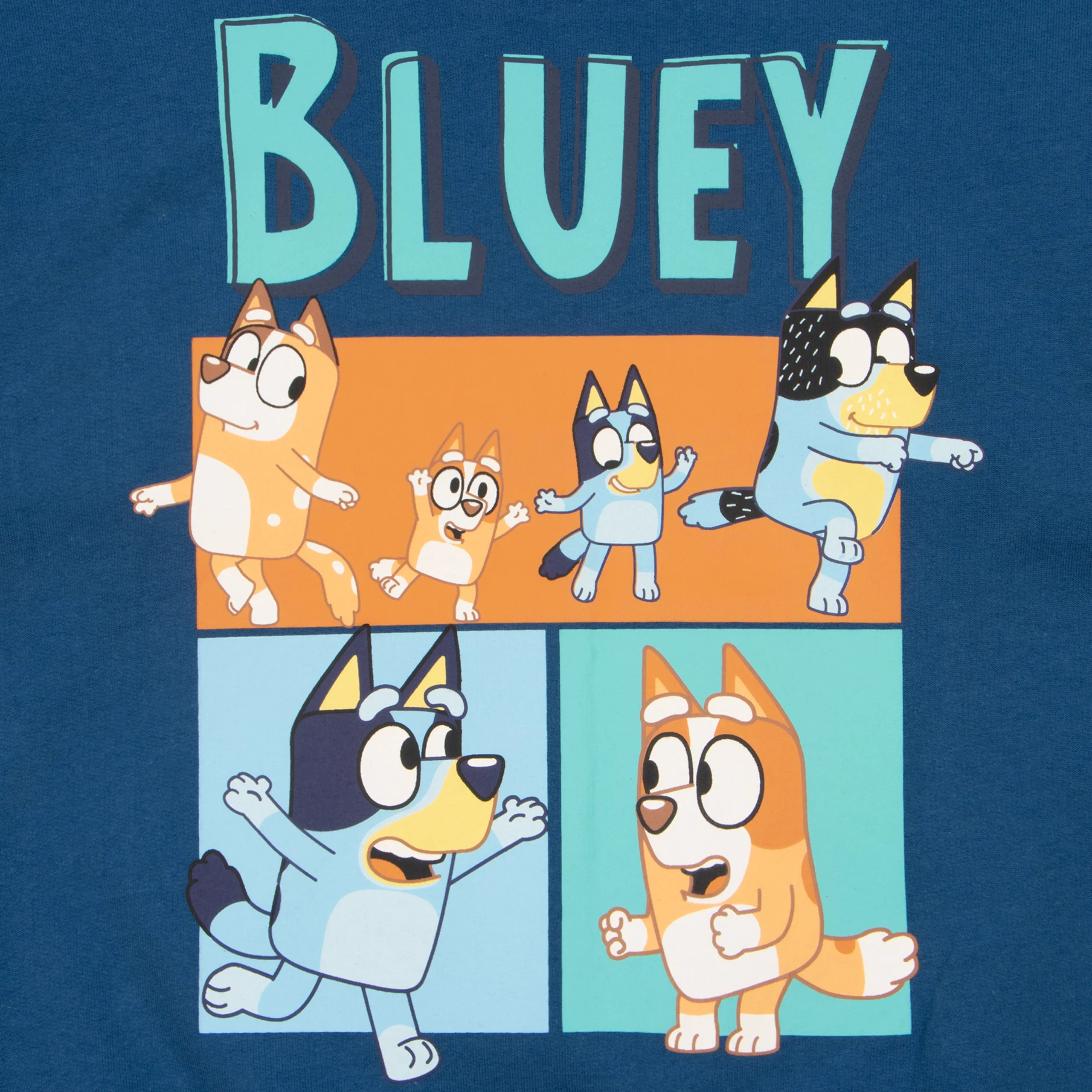 Bluey Sweatshirt - Bluey And Bingo