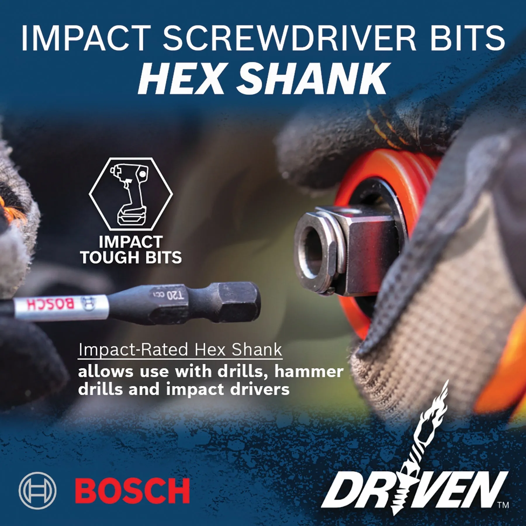 BOSCH ITDPH2202 2 pc. Driven 2 In. Impact Phillips® #2 Power Bits